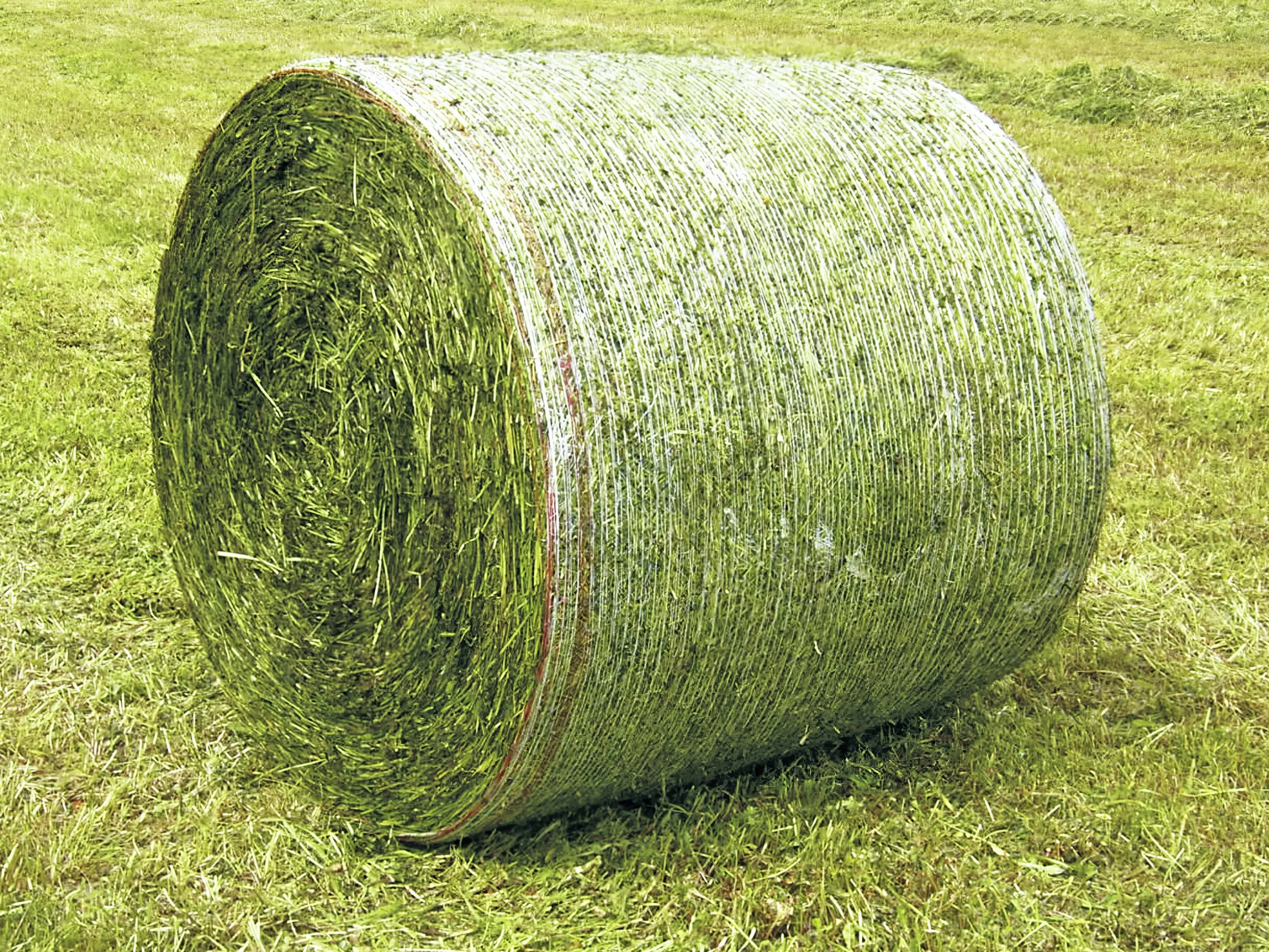 Rundbalsnät Poly-produkter Classic Premium HD 125cm 2600m