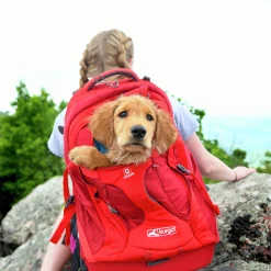 Ryggsäck Hund Kurgo G-Train Röd