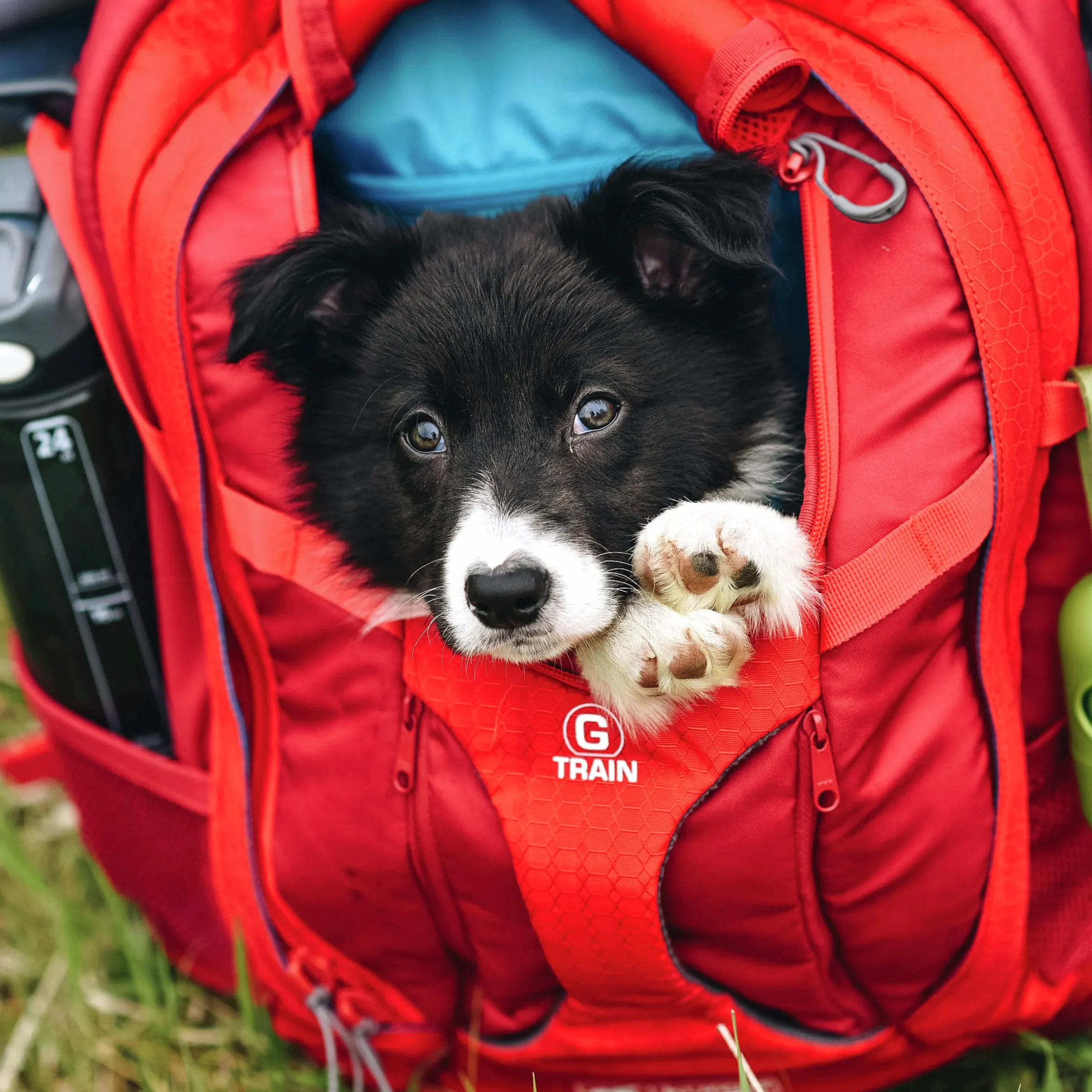 Ryggsäck Hund Kurgo G-Train Röd