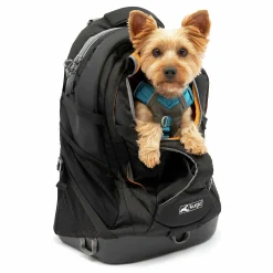 Ryggsäck Hund Kurgo G-Train Svart