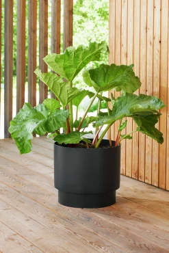 Självvattnande kruka Orthex Paulina Recycled Svart 40cm