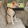 Säkerhetsbälte Kurgo Hund Svart/Orange