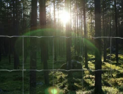 Skogsplanteringsnät Häggroth stängsel Metall 160cmx50m