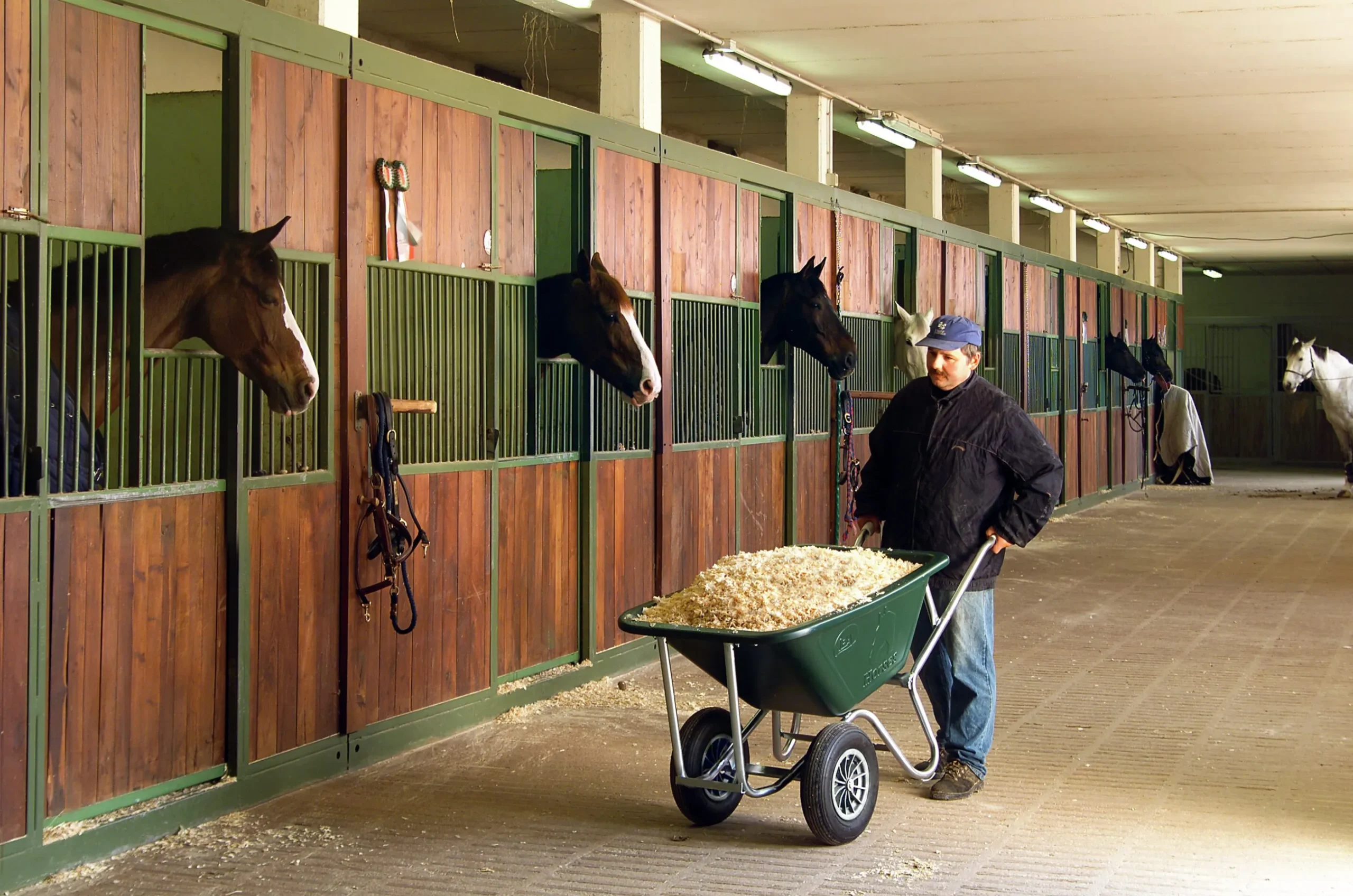 Skottkärra Gardenia Horses Grön 160L