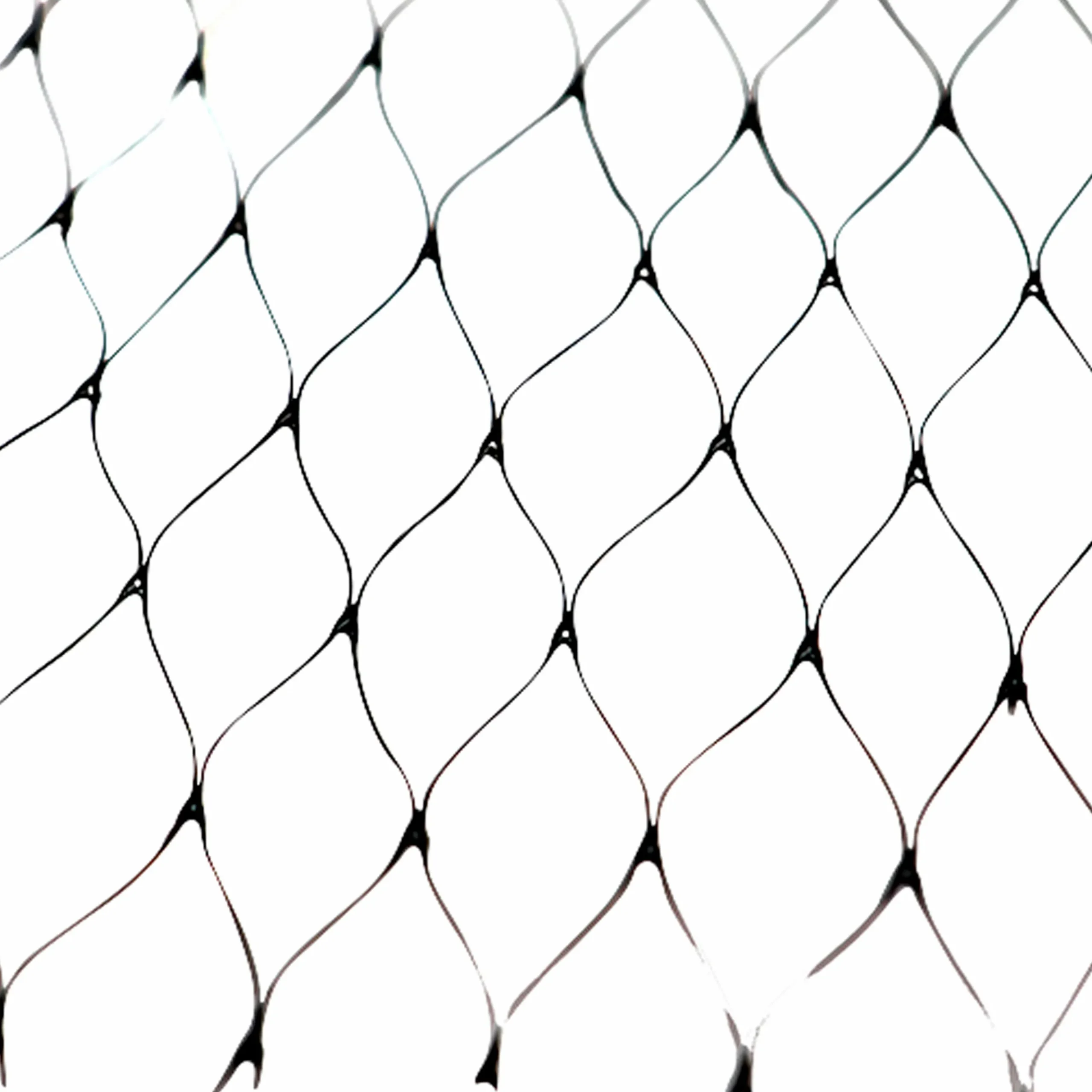 Skyddsnät Allox 2A Svart 8x10m
