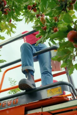 Skyddssko Blundstone #192 med stålhätta Brun 43