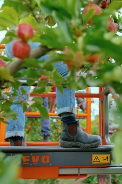 Skyddssko Blundstone #192 med stålhätta Brun 44