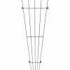 Spaljé Granngården Solfjäder Svart 17-54x160cm