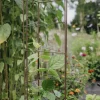 Spaljétorn Nelson Garden för tomater 23+25+23cmx140cm