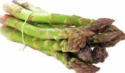 Sparris lat. Asparagus officinalis 'Gijnlim'
