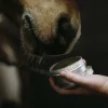 Sårgel Fair Horse Care 150ml