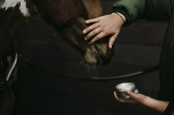 Sårgel Fair Horse Care 150ml