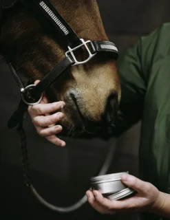 Sårgel Fair Horse Care 150ml