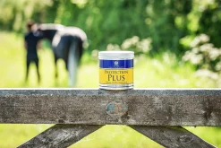 Sårsalva Carr & Day & Martin Protection Plus 500g