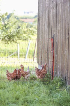 Stagstolpe Kerbl Plastad Metall Svart 14mmx120cm