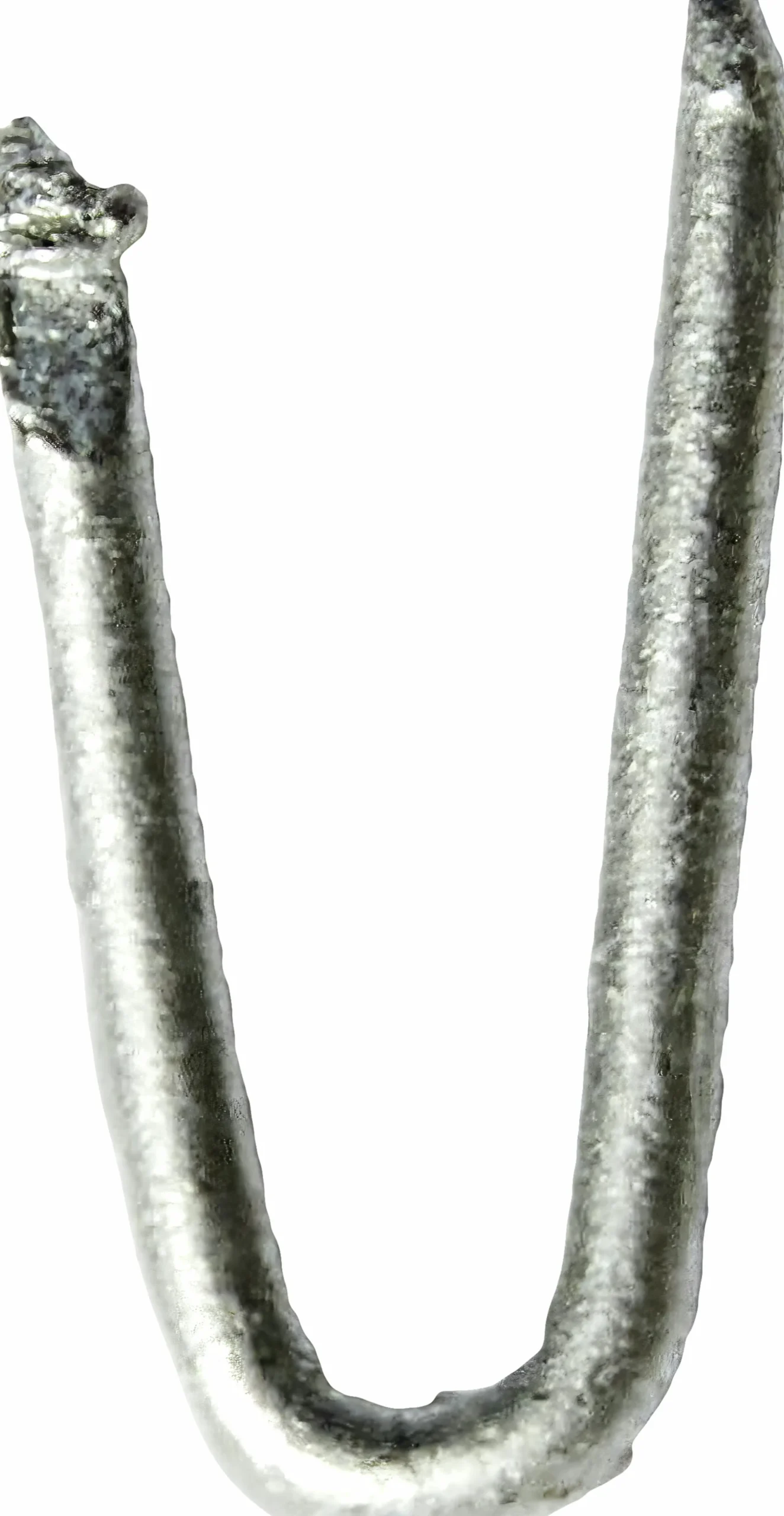 Stängselkrampor Nordic Fence 25x2,5mm 500-p