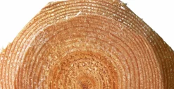 Stängselslana Octowood halvåttkantig 100x3500mm 1-p