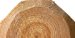 Stängselslana Octowood laskad halvåttkantig 100x3500mm 99-p