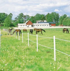 Stängselstolpe EquiSafe rund plast 65mm 1,8m vit