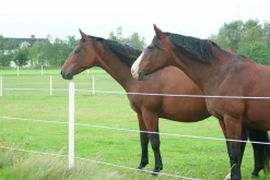 Stängselstolpe EquiSafe rund plast 65mm 1,8m (hemleverans)