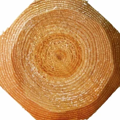 Stängselstolpe Octowood åttkantig Ø 100x2000mm 55-p