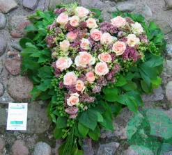Storblommig ros 'Morten Korch' 'Harmisty' Barrotad