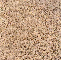 Ströpellets Fågelfors stallpellets Helpall 52x15kg (hemleverans)