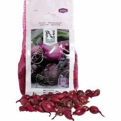 Sättlök Nelson Garden Röd värmebehandlad 250g