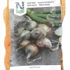 Sättlök Nelson Garden Schalottenlök Hermine 250g