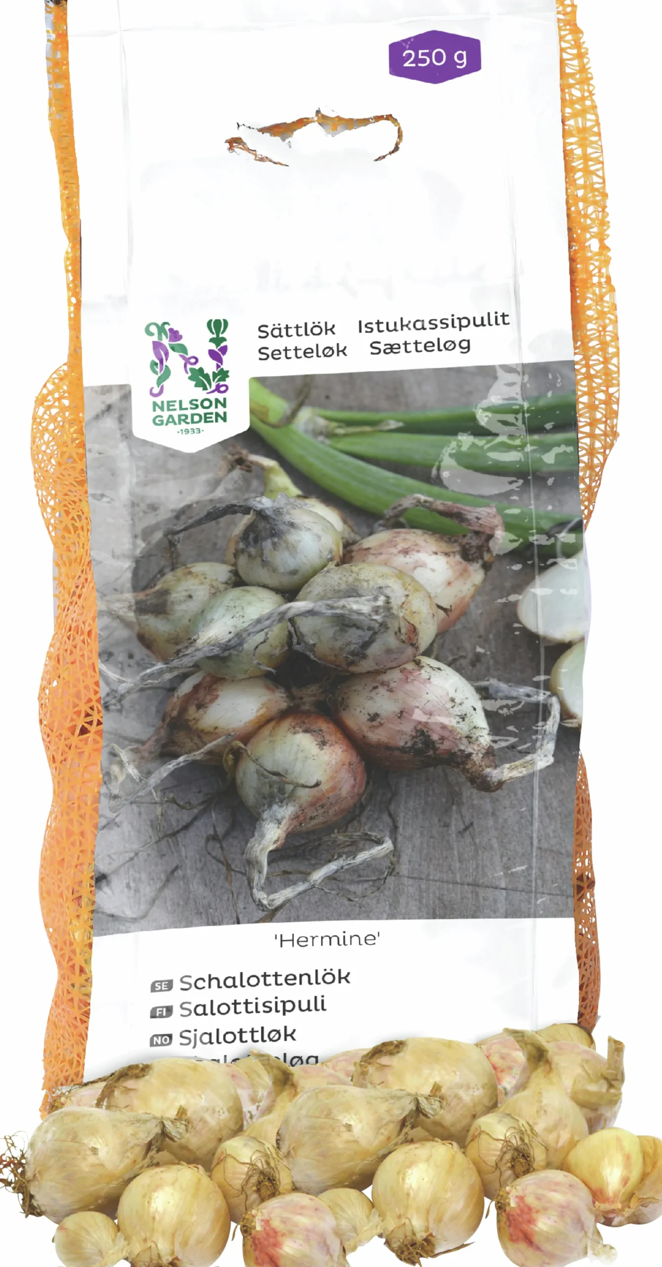 Sättlök Nelson Garden Schalottenlök Hermine 250g