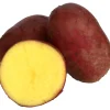 Sättpotatis LPM Alouette Eko Höst 500g