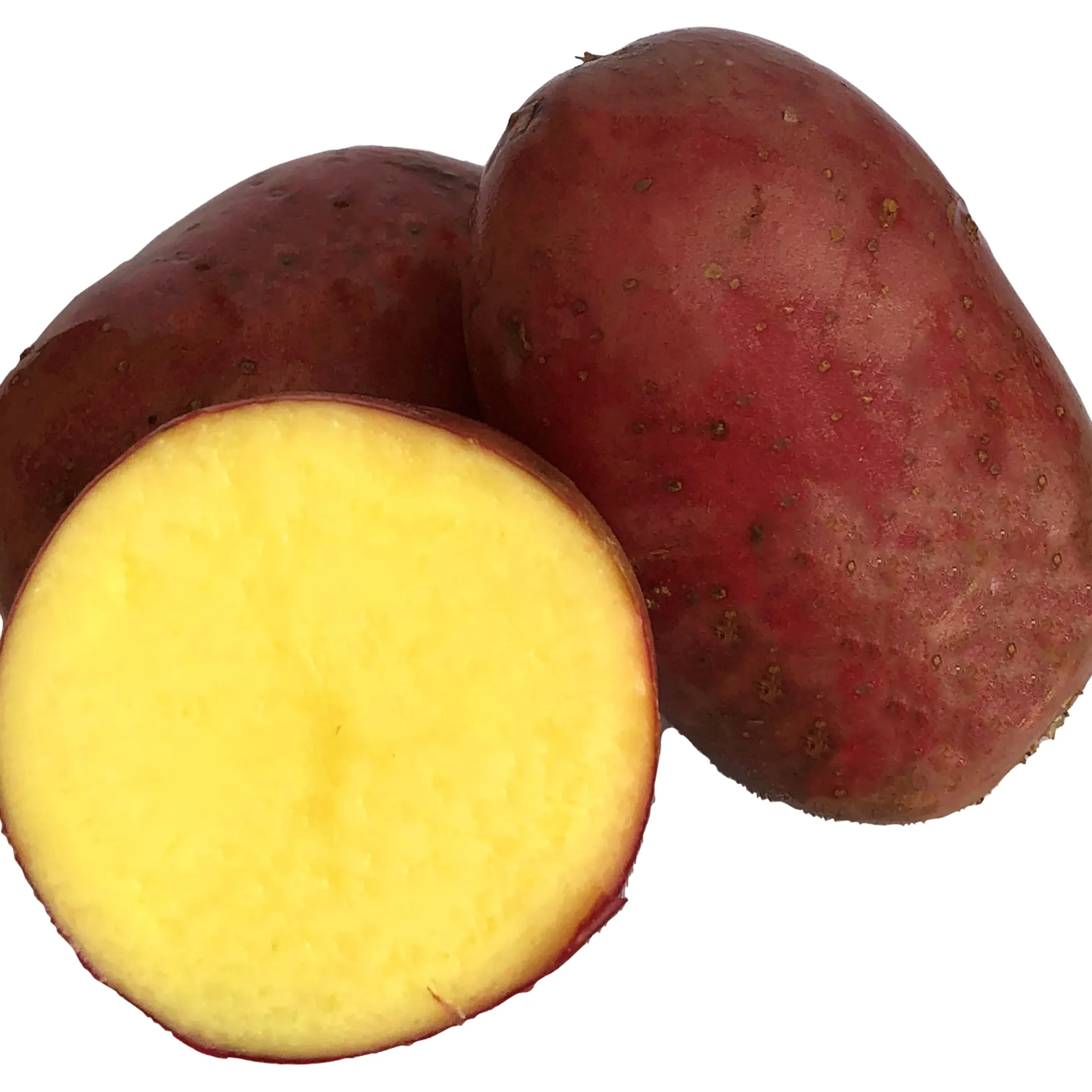 Sättpotatis LPM Alouette Eko Höst 500g