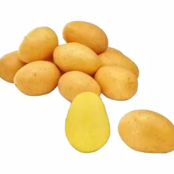 Sättpotatis LPM Baby Lou Vår 3kg