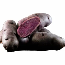 Sättpotatis LPM Bergerac Höst 1kg