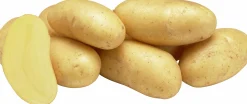Sättpotatis LPM Gourmandine Sommar 2kg