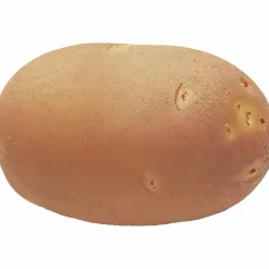 Sättpotatis LPM Innovator Sommar 3kg