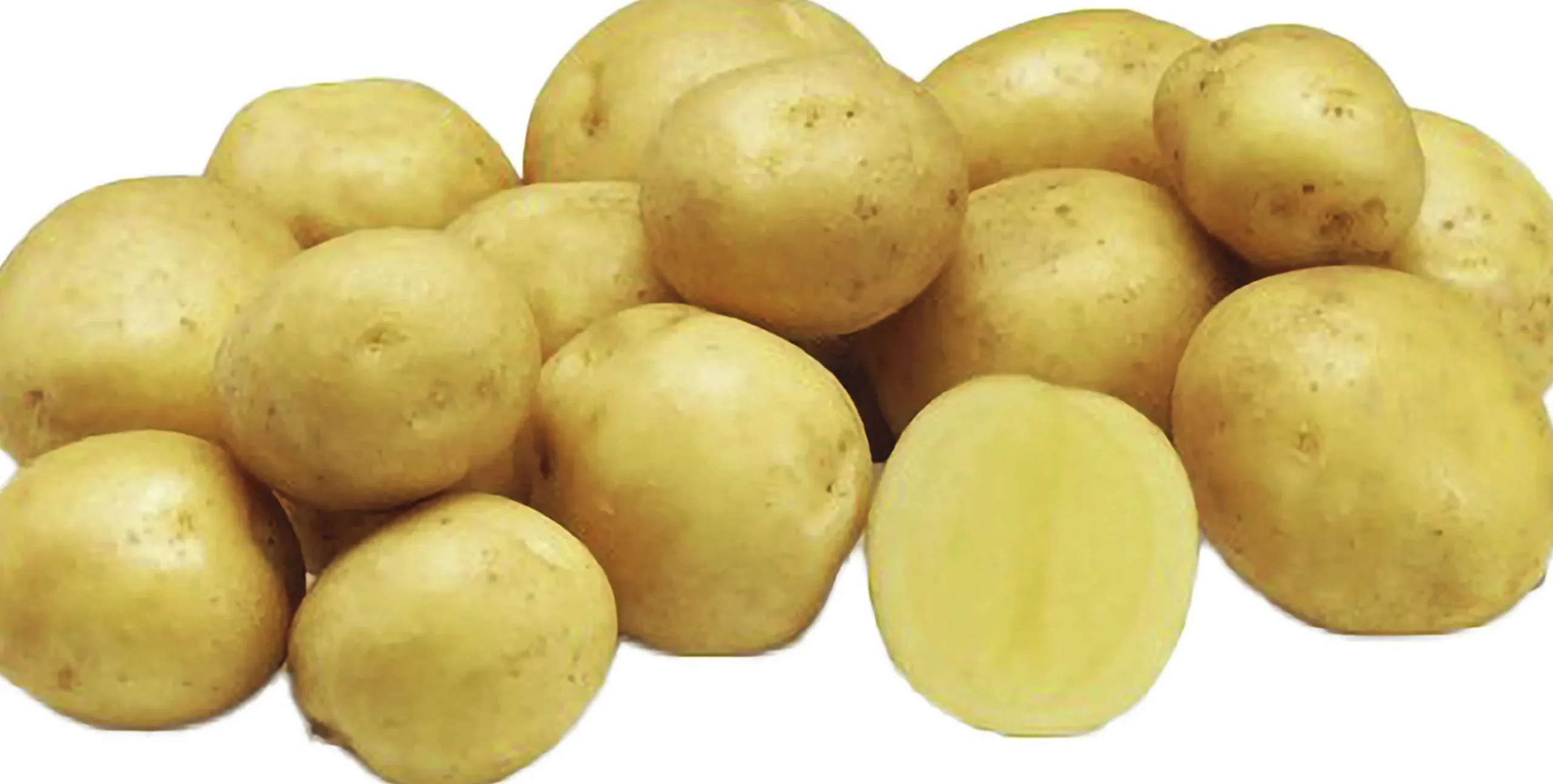 Sättpotatis LPM Jacky Höst 1kg