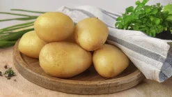 Sättpotatis LPM Jaerla Vår 3kg