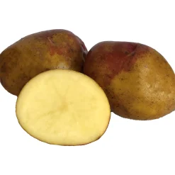 Sättpotatis LPM King Edward Höst 3kg