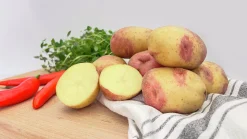 Sättpotatis LPM King Edward Höst 3kg