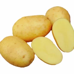 Sättpotatis LPM Lea Eko Vår 1kg