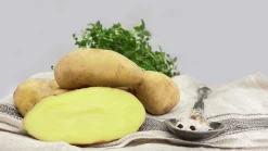 Sättpotatis LPM Mandel Höst 500g