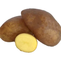 Sättpotatis LPM Mandel Höst 15kg