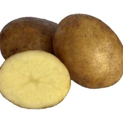 Sättpotatis LPM Maria Vår 3kg