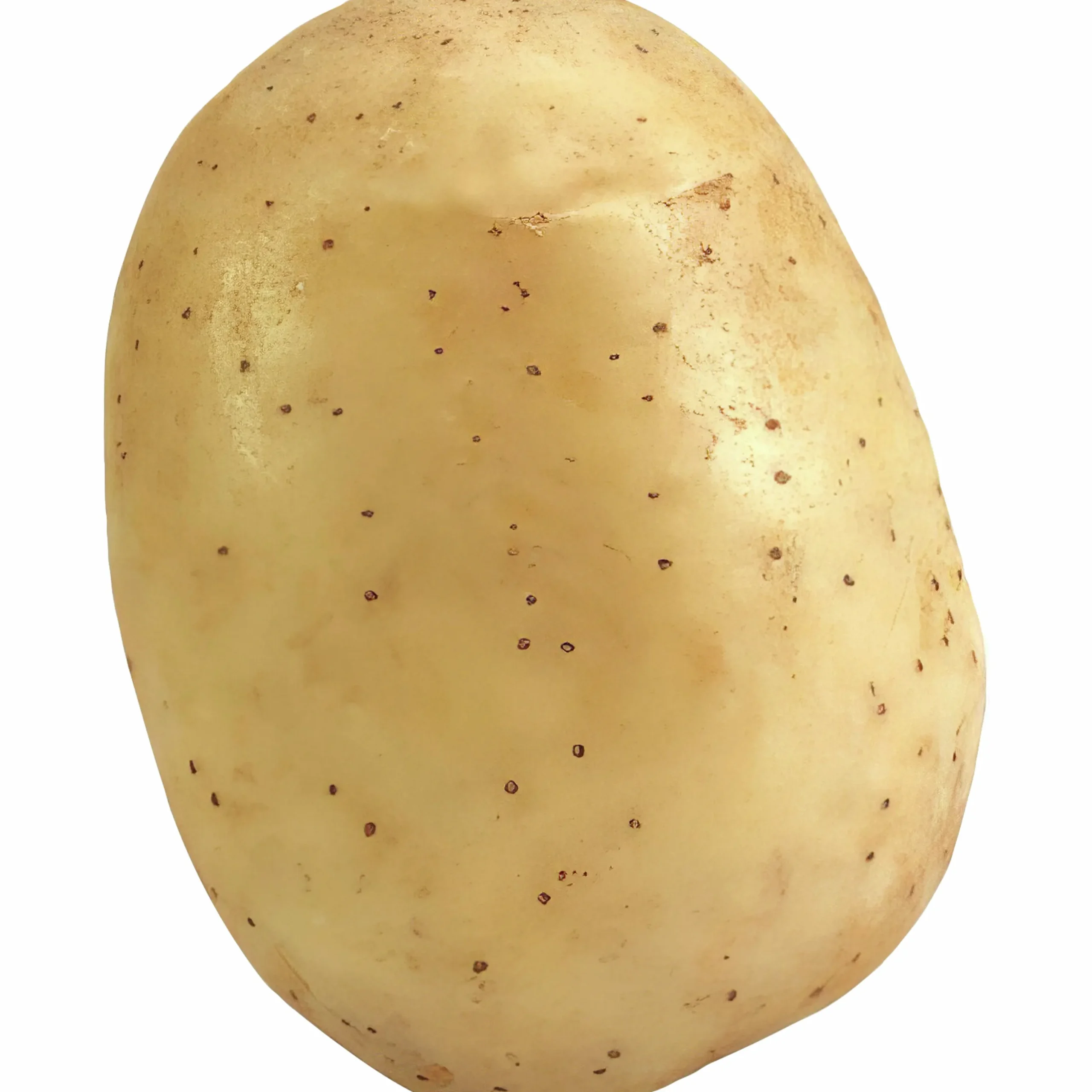 Sättpotatis LPM Melody Höst 3kg