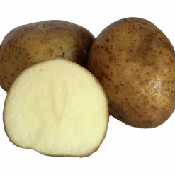 Sättpotatis LPM Mixlåda 3 sorter 4,5kg