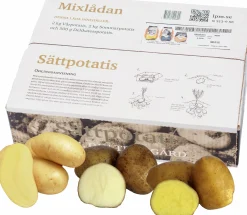 Sättpotatis LPM Mixlåda 3 sorter 4,5kg