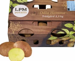 Sättpotatis LPM Odla Hemma Trädgård 2,5kg