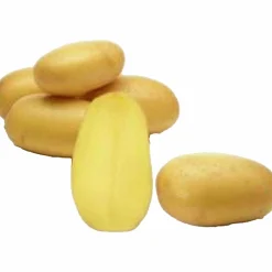Sättpotatis LPM Queen Anne Eko Höst 1kg