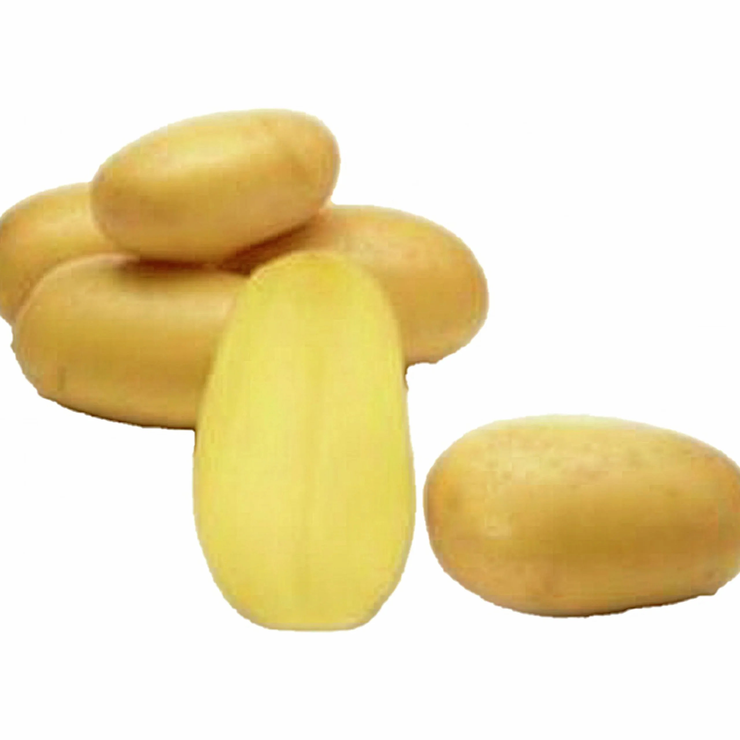 Sättpotatis LPM Queen Anne Eko Höst 1kg